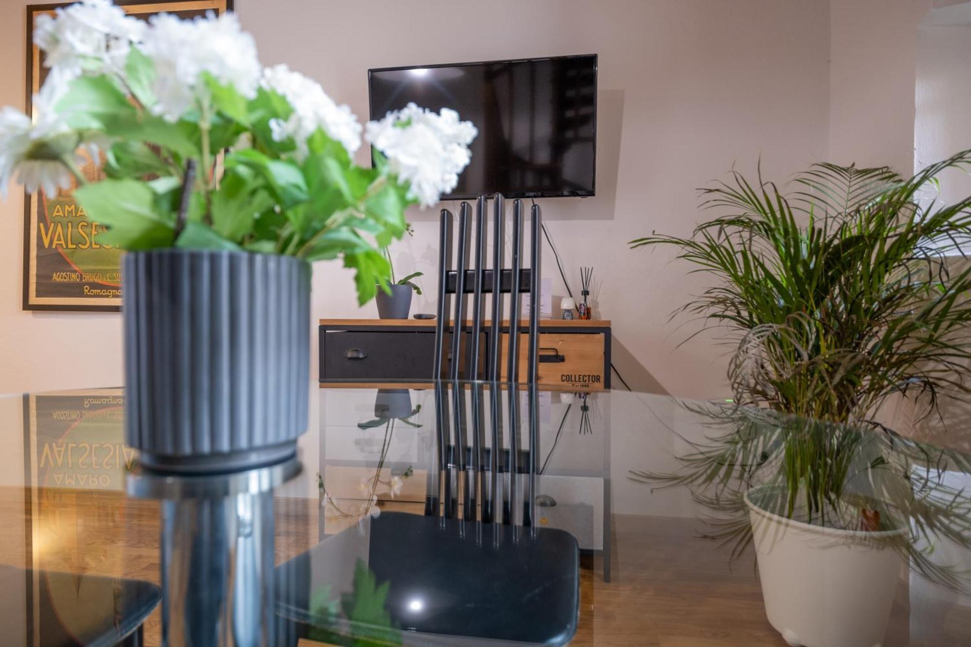 Lungarno Buozzi 7 Apartments 피사 외부 사진